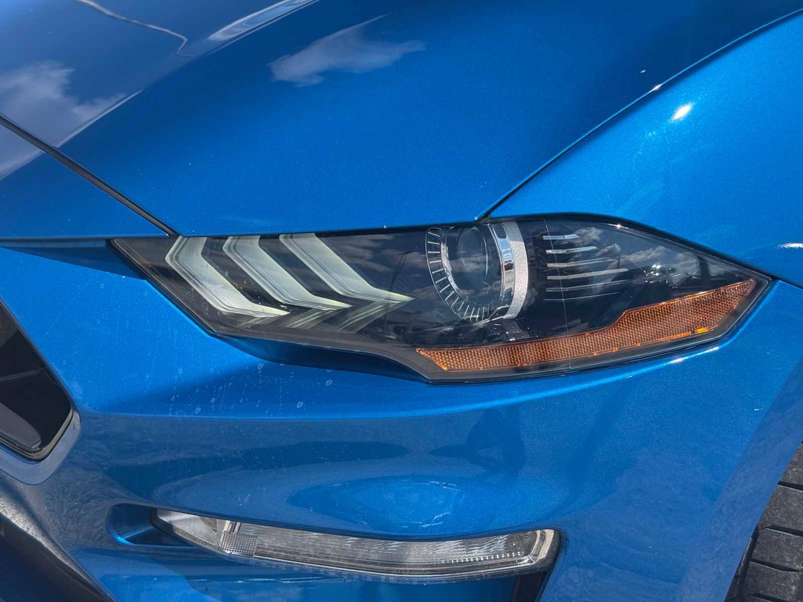 Used 2021 Ford Mustang GT w/ Equipment Group 301A image 10