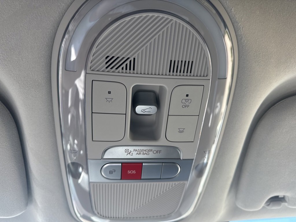 New 2026 Hyundai Ioniq 9 Calligraphy image 19