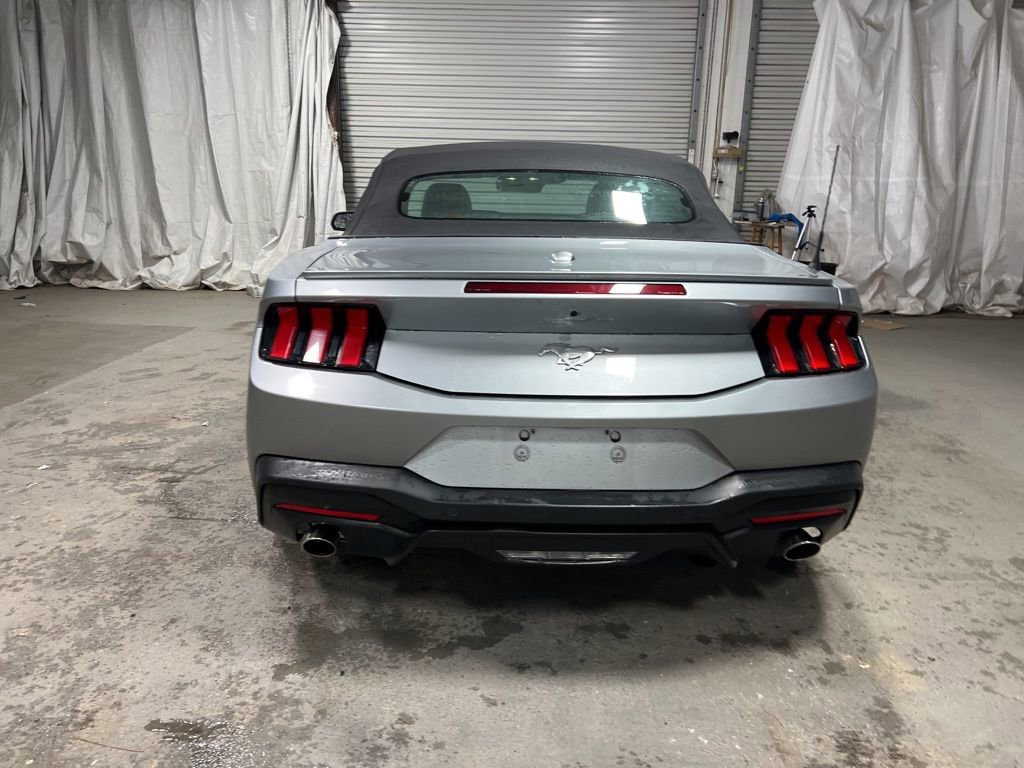 Used 2024 Ford Mustang Premium image 6