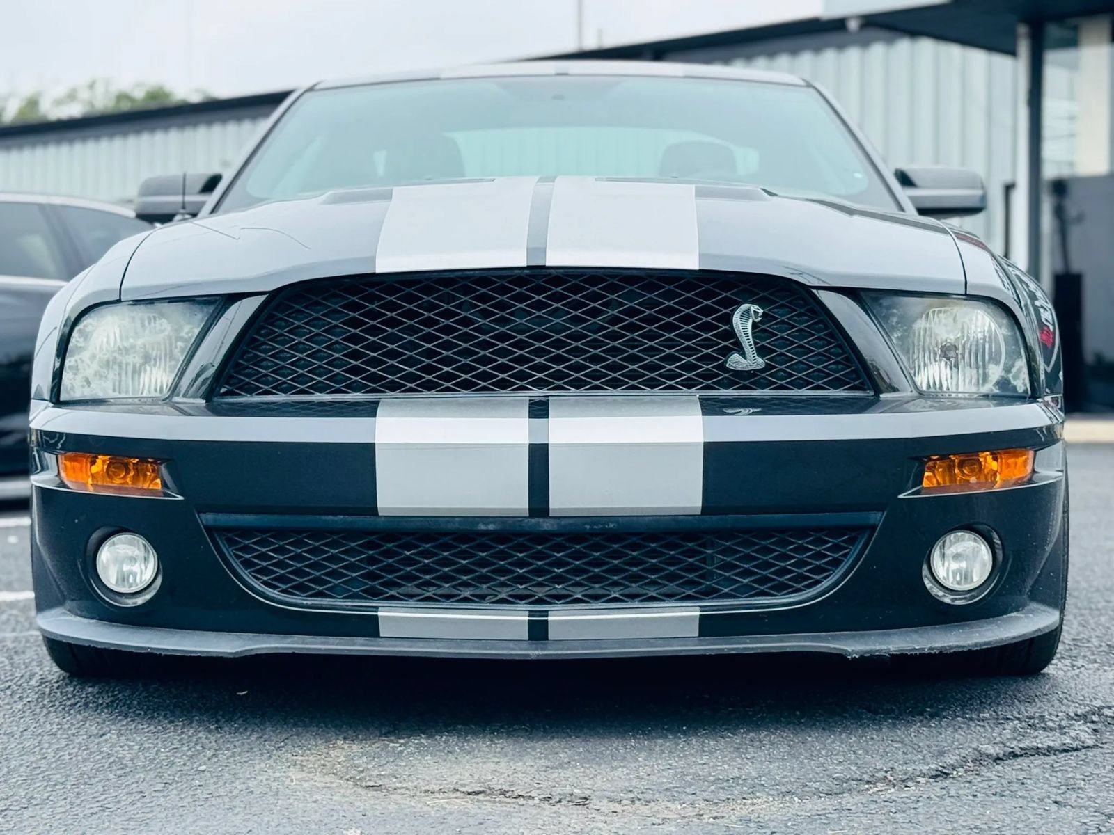Used 2009 Ford Mustang Shelby GT500 RWD image 2