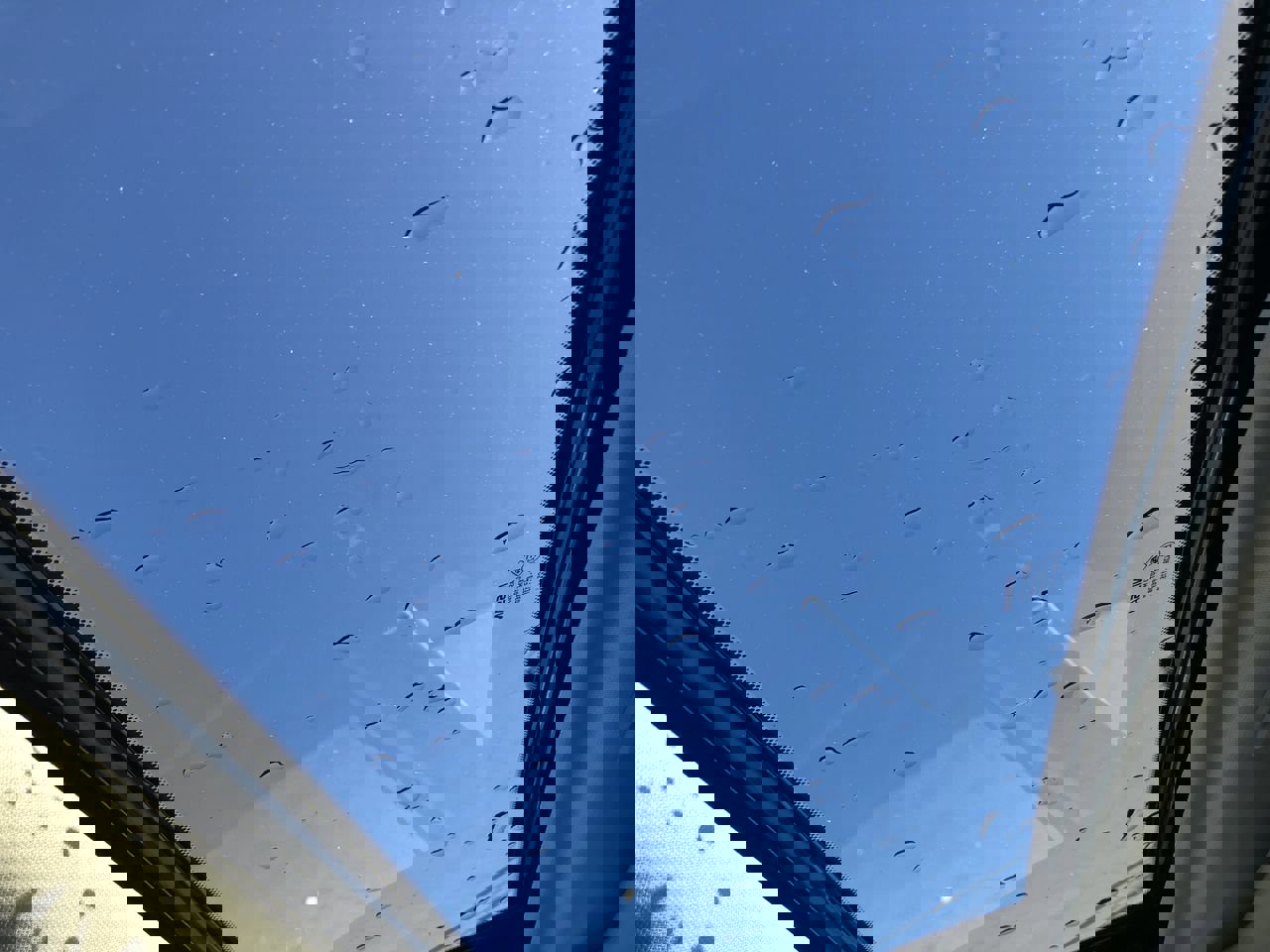 New 2025 Nissan Altima 2.5 SR w/ SR Premium Package image 32