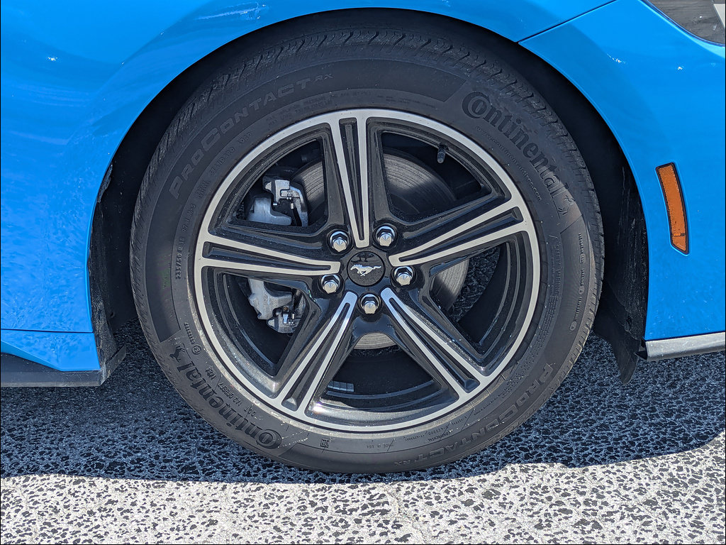 Used 2024 Ford Mustang Premium RWD image 12