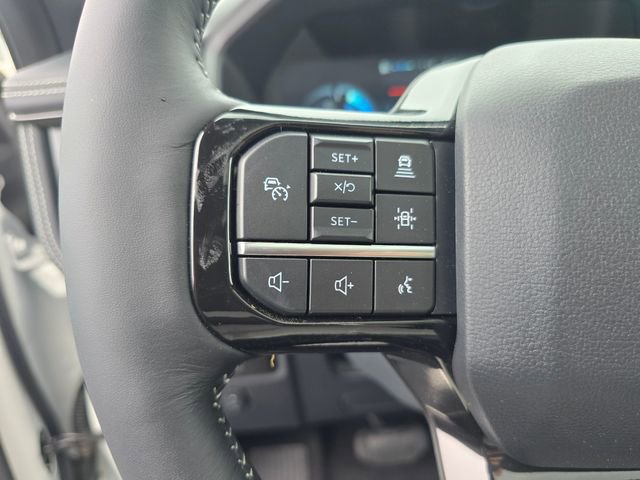 New 2025 Ford F150 Lightning Platinum image 23