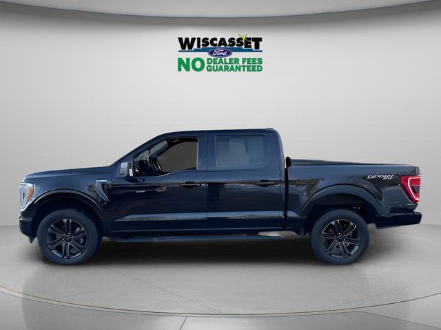 Used 2022 Ford F150 XLT w/ Equipment Group 302A High image 2
