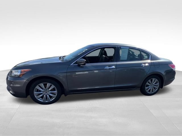 Used 2012 Honda Accord EX-L image 3
