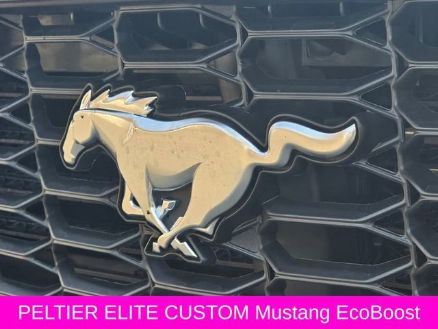 New 2026 Ford Mustang Coupe image 5