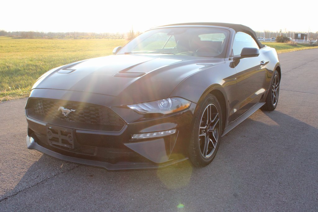 Used 2023 Ford Mustang Premium image 3
