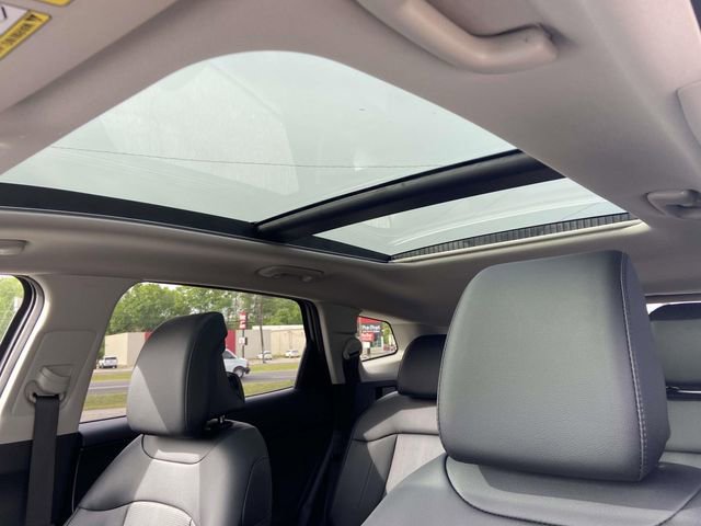 New 2026 Kia Sportage EX FWD image 14