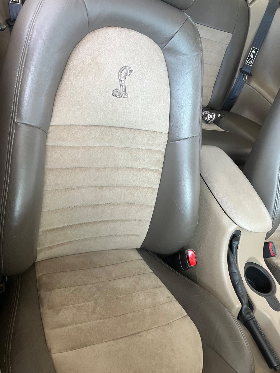 Used 2001 Ford Mustang Cobra RWD image 13