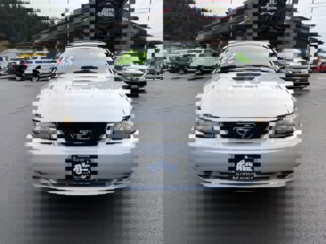 Used 2001 Ford Mustang Deluxe image 2