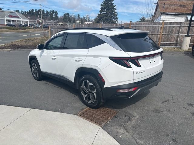 Used 2023 Hyundai Tucson Limited image 6