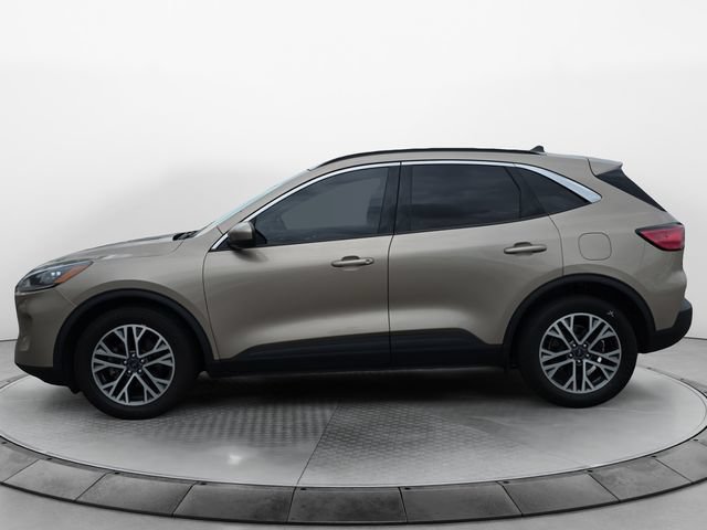 Used 2020 Ford Escape SEL FWD image 2