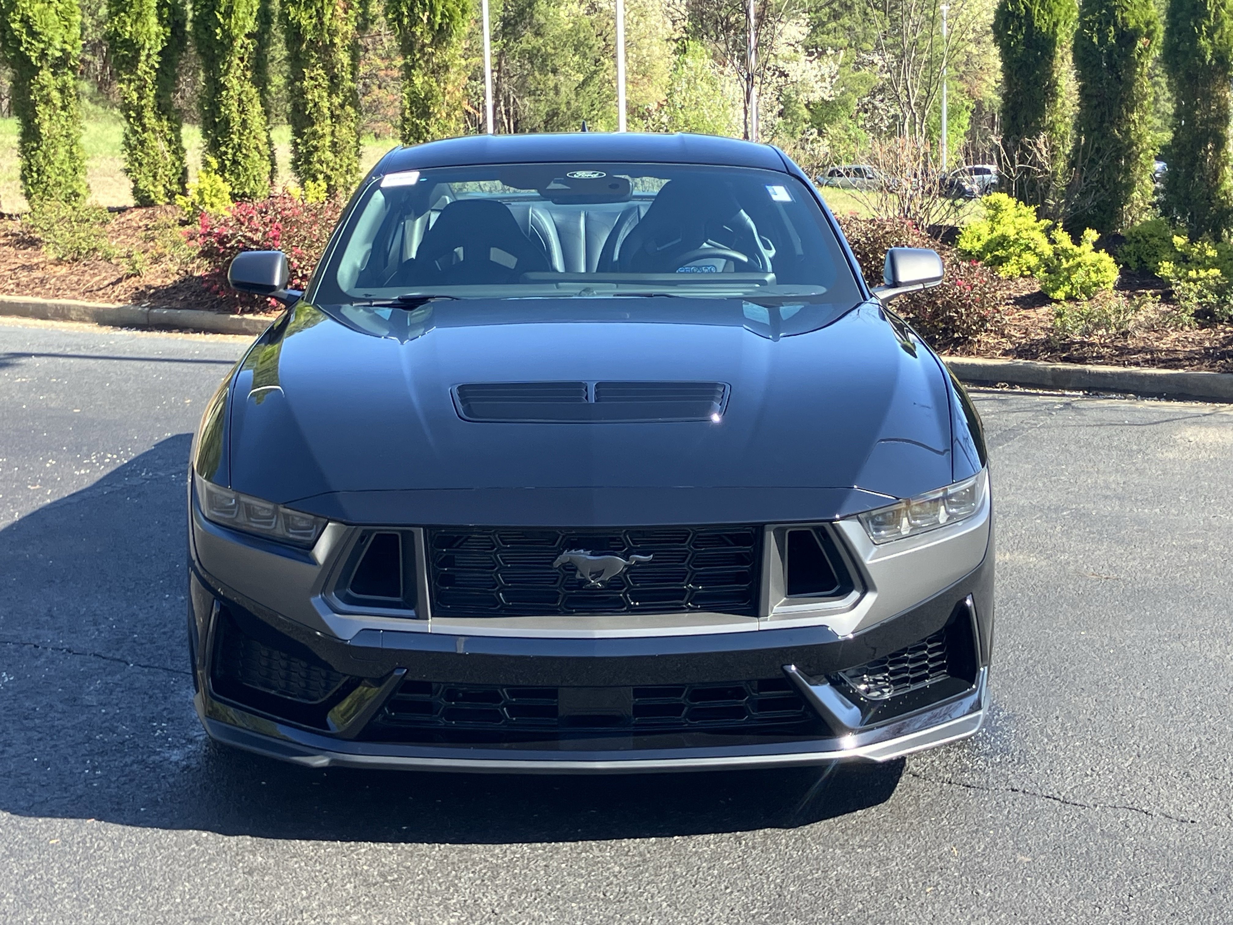 Used 2025 Ford Mustang Dark Horse image 3