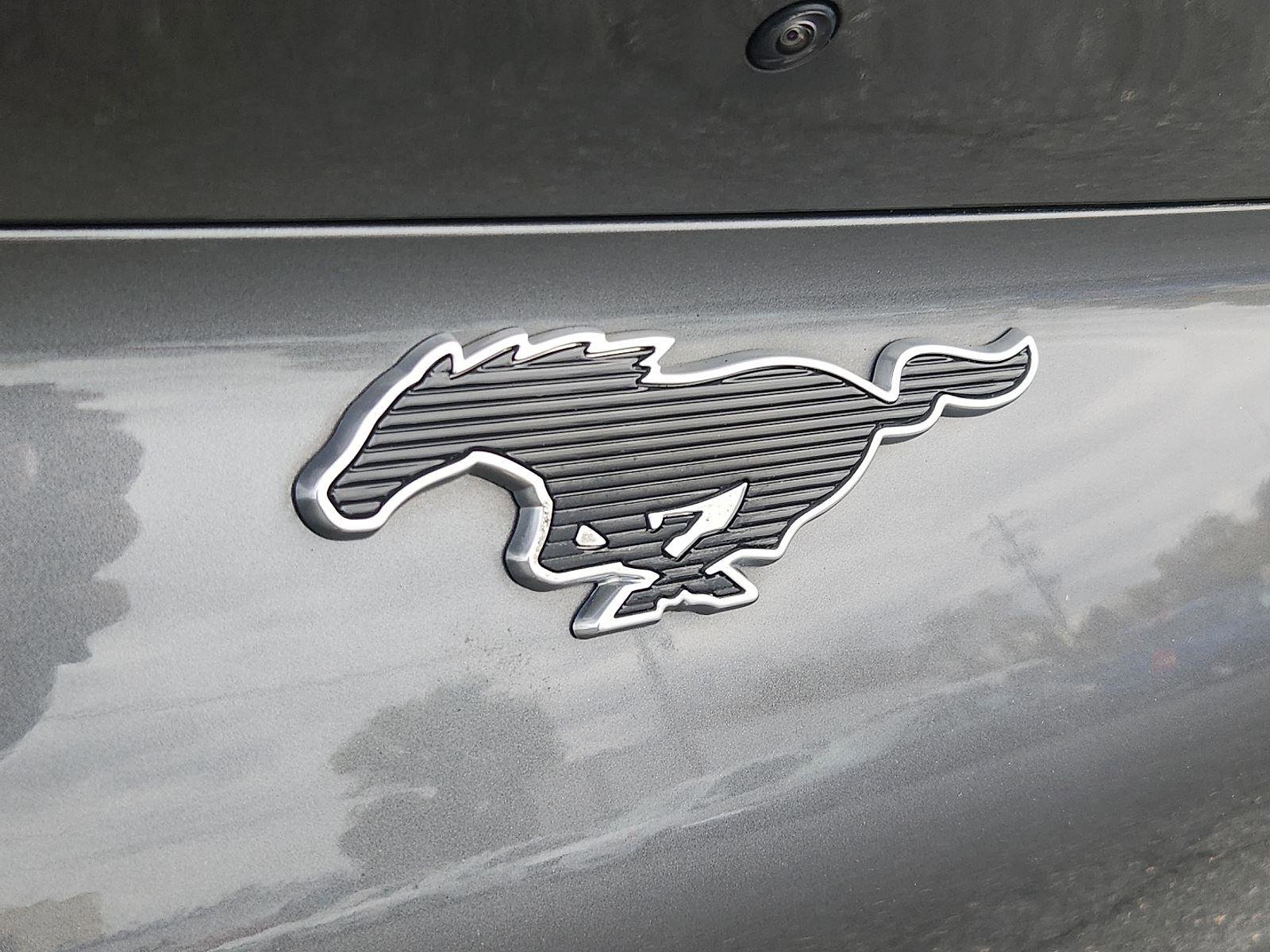 Used 2021 Ford Mustang Mach-E Premium image 31