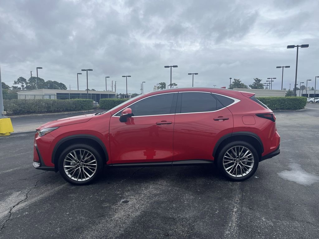 Used 2025 Lexus NX 350h AWD w/ Cold Area Package image 15