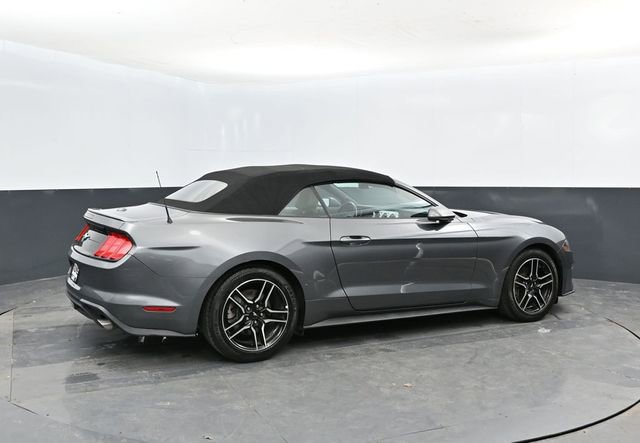 Used 2023 Ford Mustang Premium RWD image 2