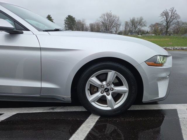 Used 2019 Ford Mustang Coupe image 4