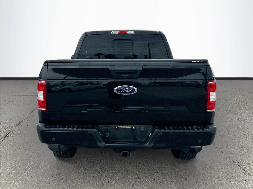 Used 2019 Ford F150 XLT w/ Equipment Group 302A Luxury AWD/4WD image 6