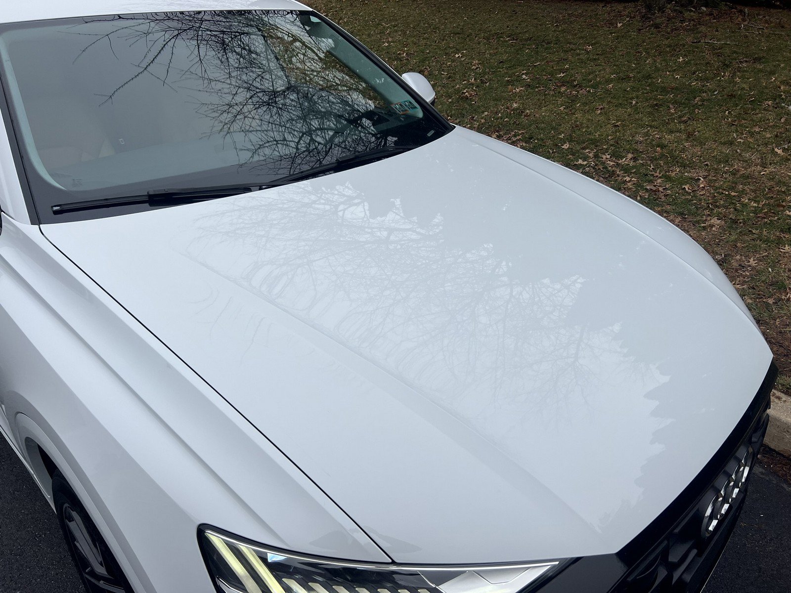 Used 2019 Audi Q8 Prestige image 69