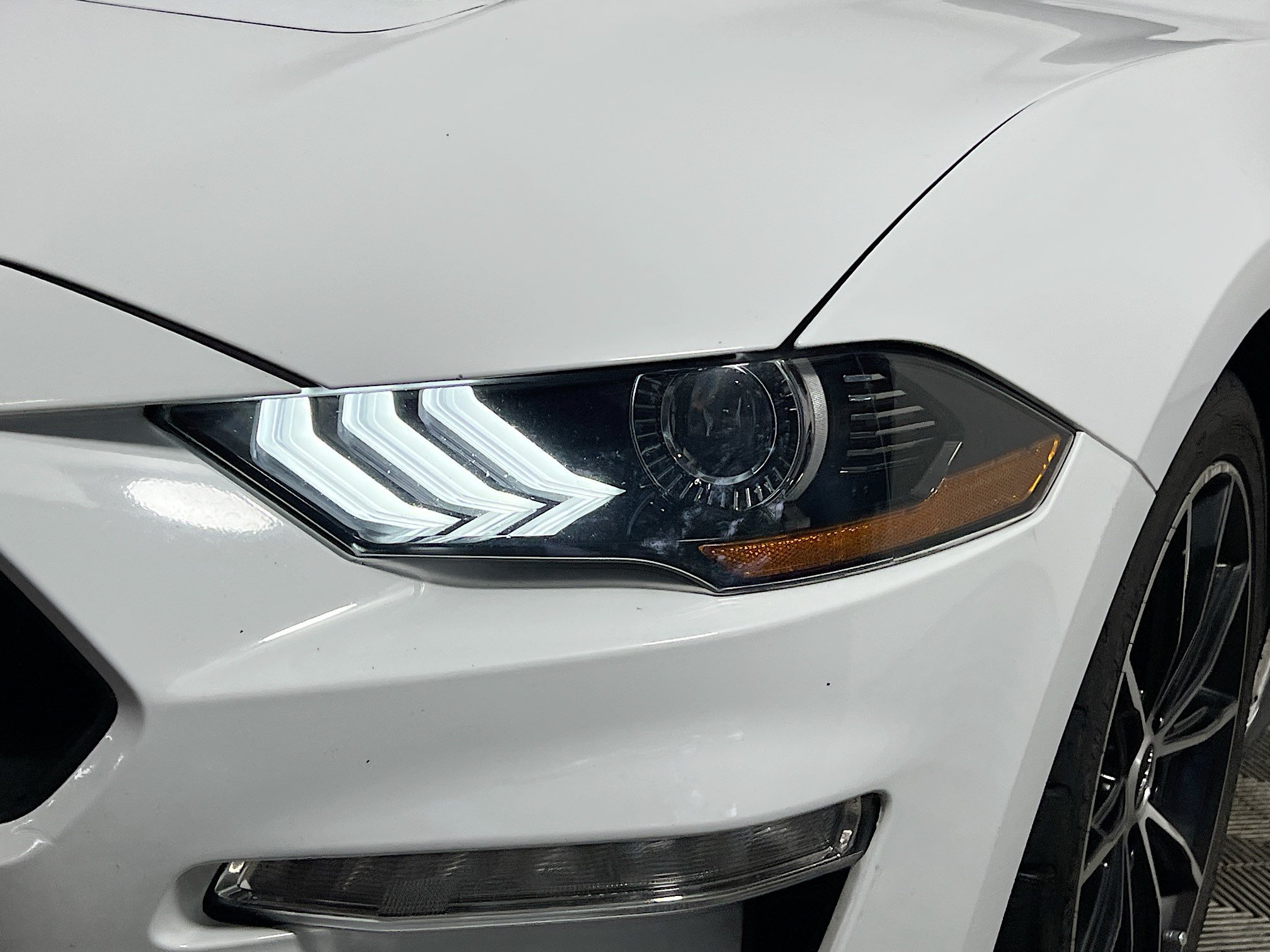 Used 2021 Ford Mustang Coupe w/ Equipment Group 101A RWD image 12