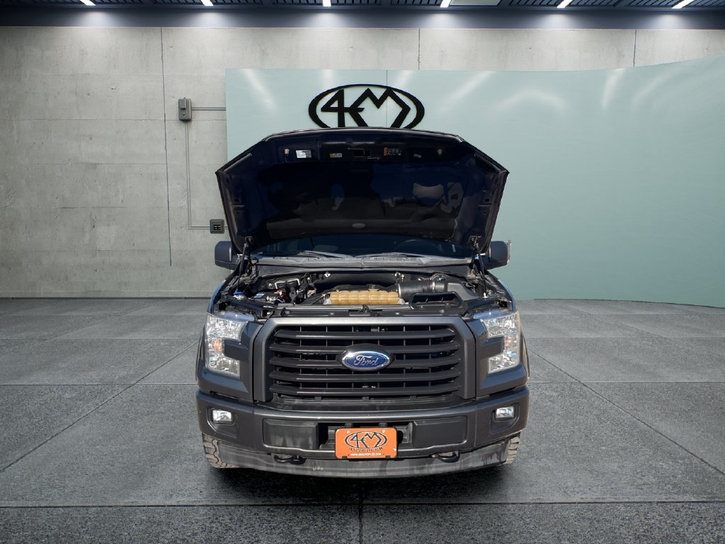 Used 2017 Ford F150 XLT w/ Equipment Group 302A Luxury AWD/4WD image 9
