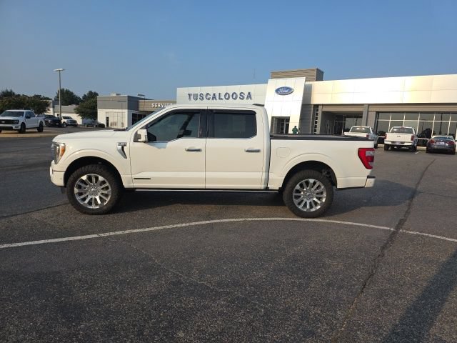 Used 2023 Ford F150 Limited AWD/4WD image 6