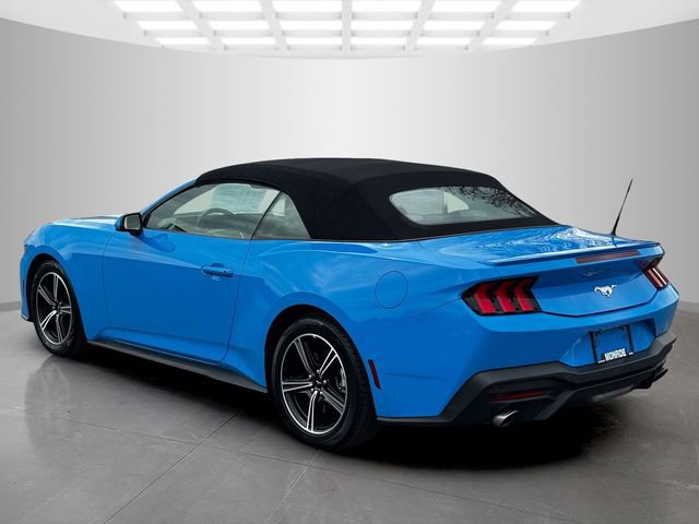 Used 2024 Ford Mustang Premium image 5