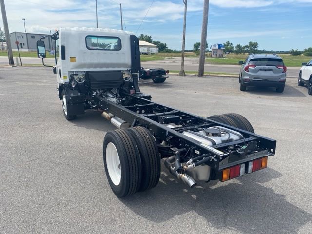 New 2024 Chevrolet Low Cab Forward RWD image 4