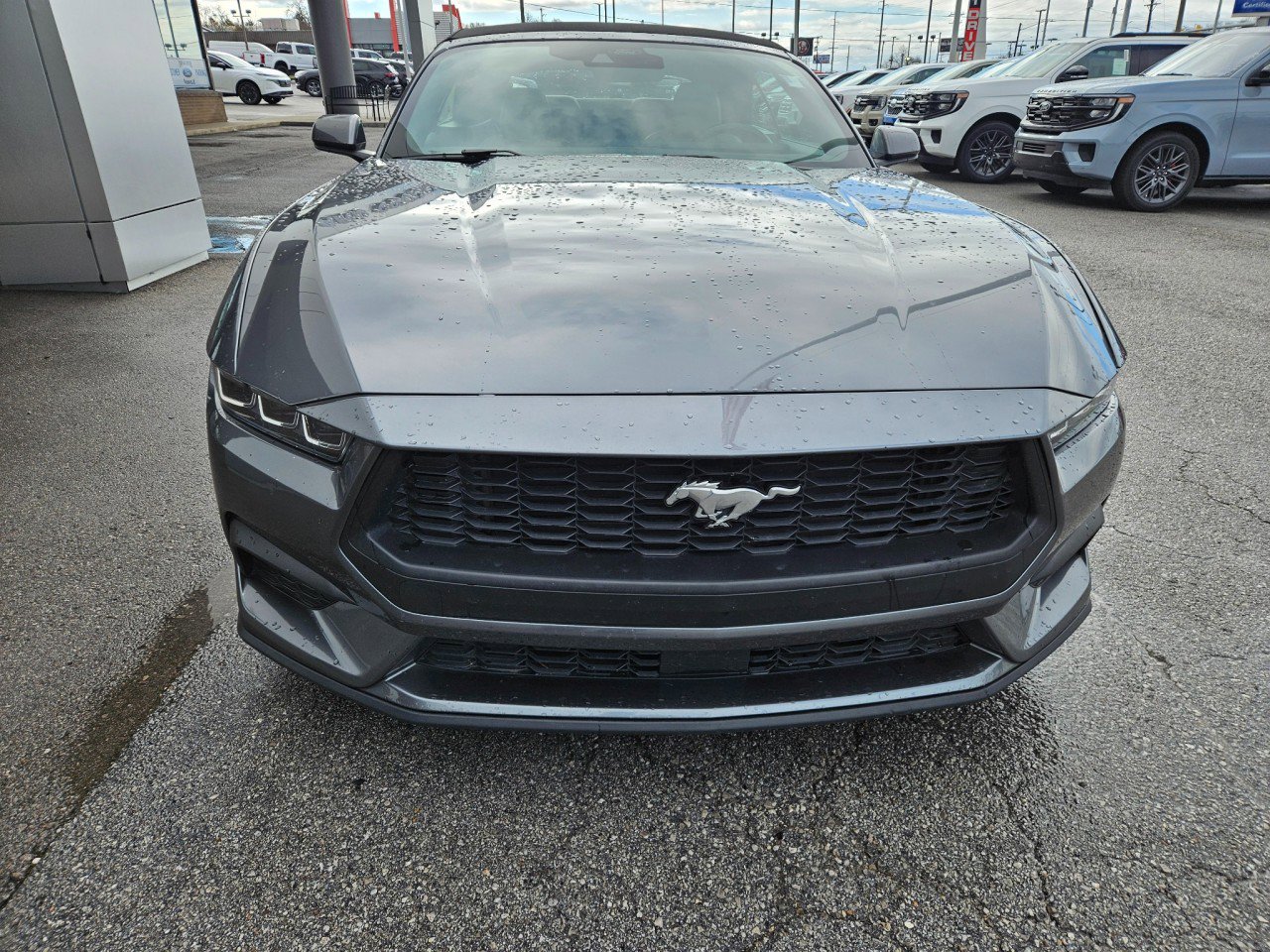Used 2024 Ford Mustang Premium image 9