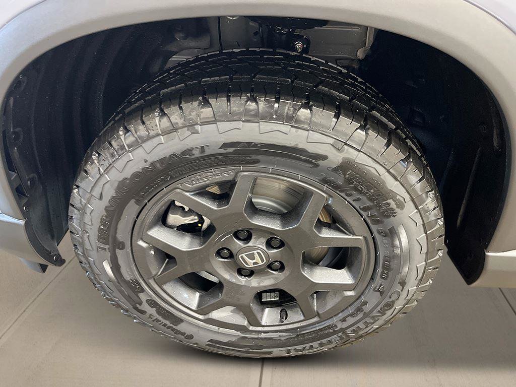 New 2026 Honda Pilot TrailSport image 12