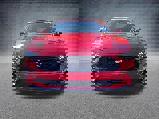Used 2023 Ford Mustang Premium image 9