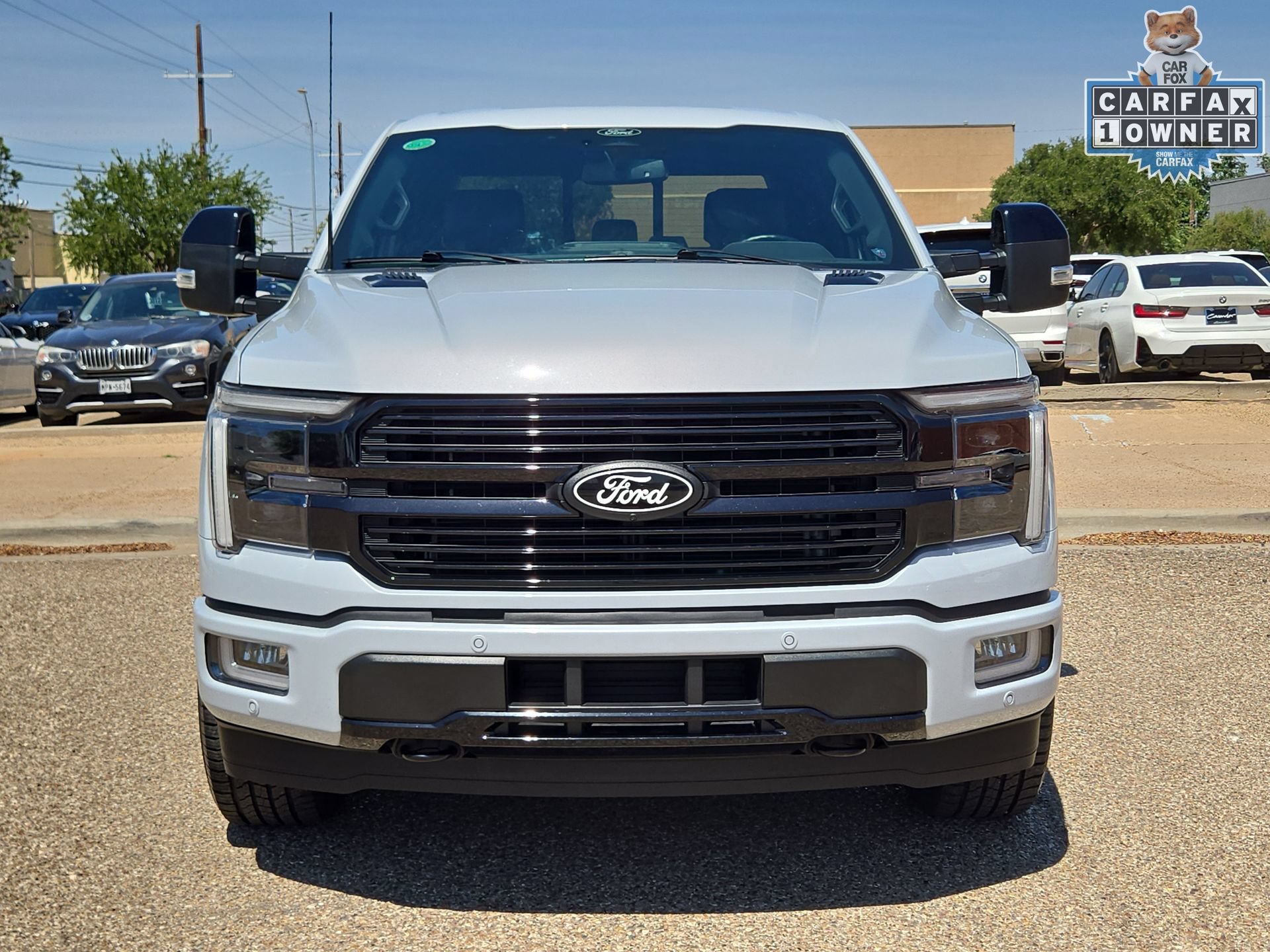 Used 2025 Ford F150 Platinum AWD/4WD image 10