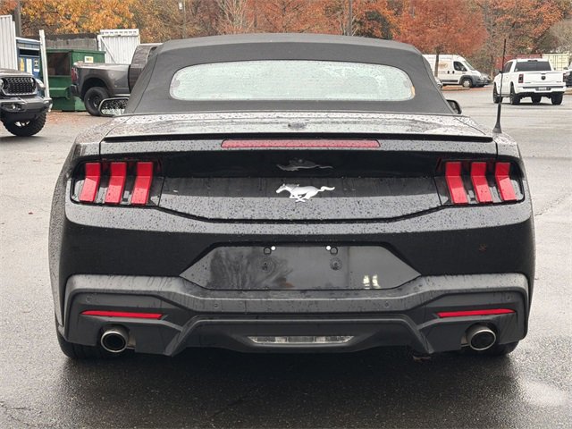 Used 2024 Ford Mustang Premium image 12