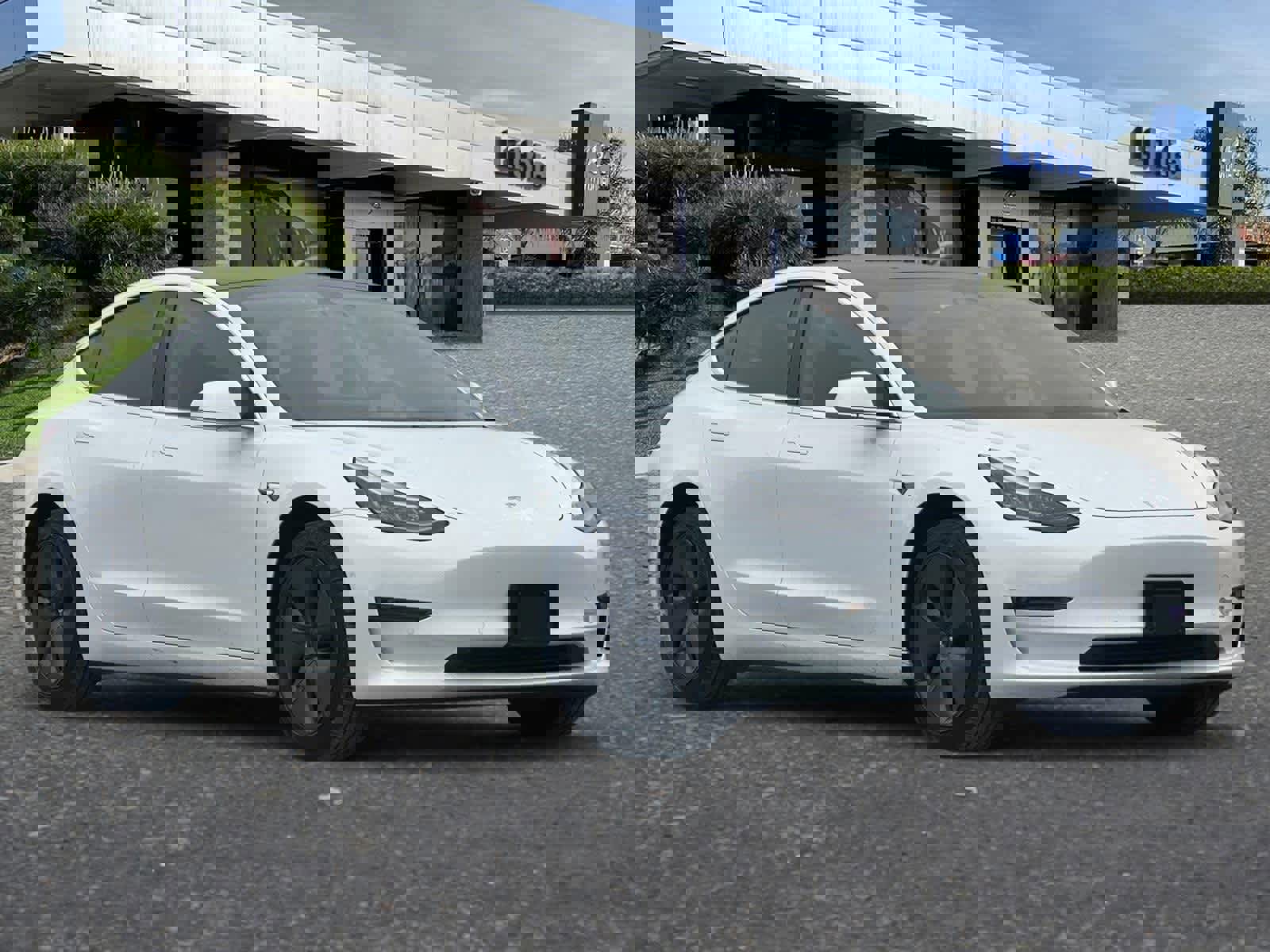 Used 2019 Tesla Model 3 Standard Range Plus image 9