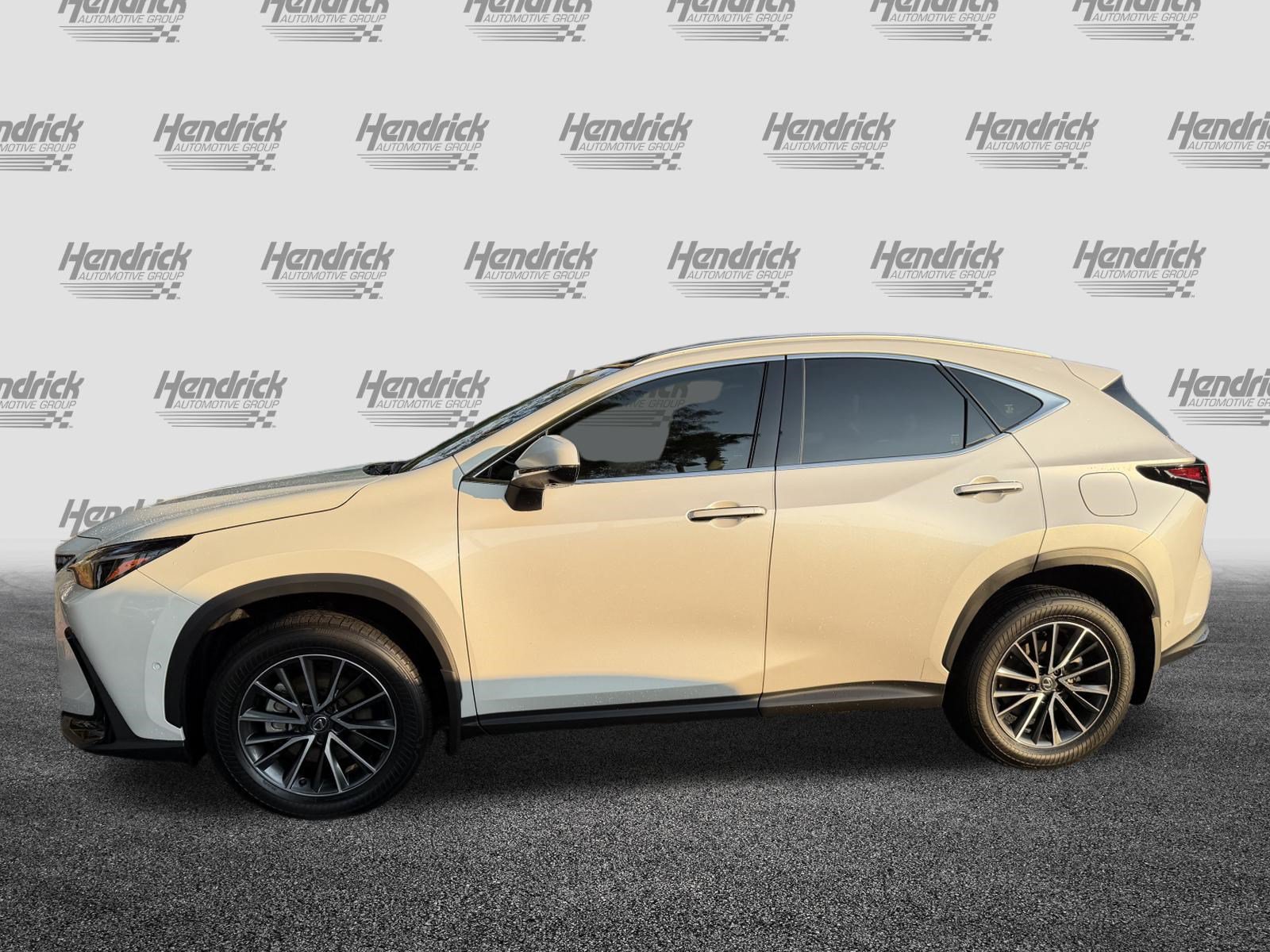 Certified 2024 Lexus NX 350h AWD w/ Vision Package image 6