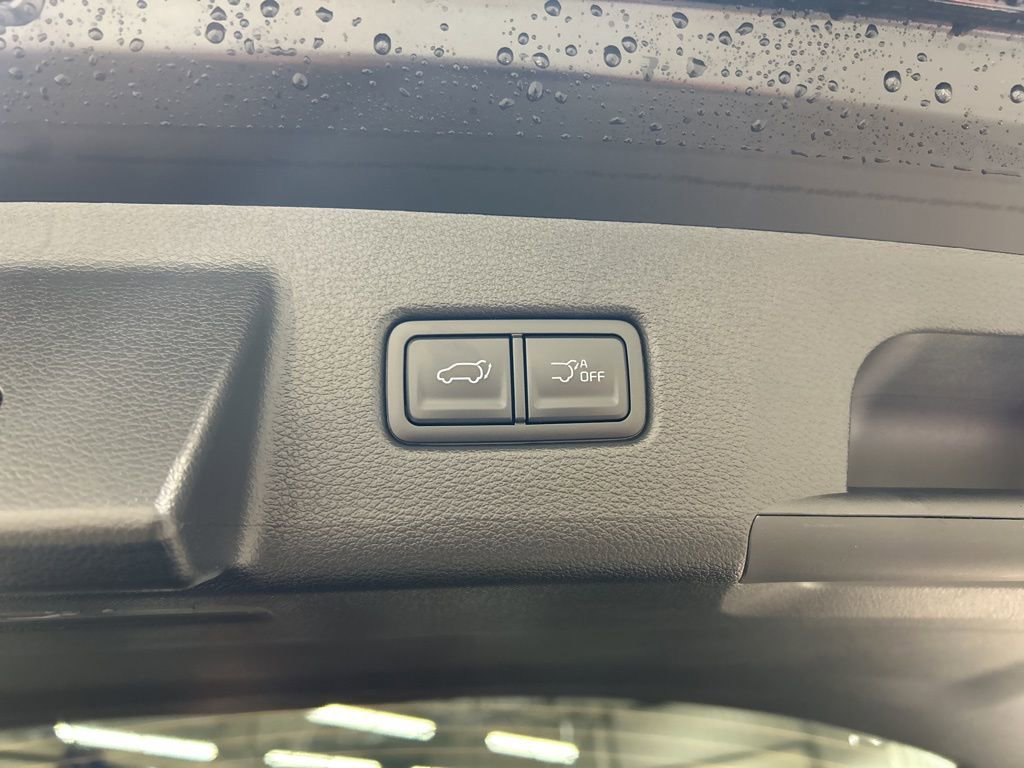 New 2025 Kia Telluride EX X-Line image 31