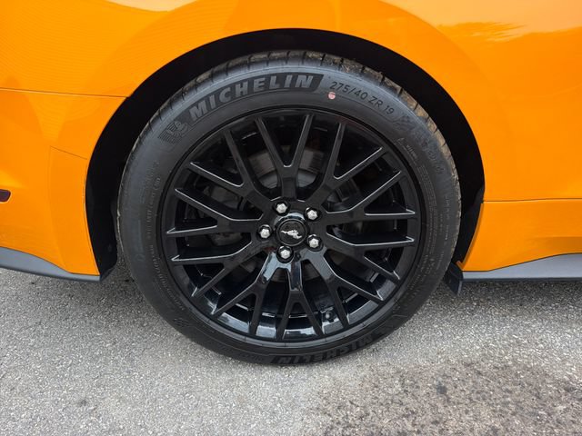 Used 2019 Ford Mustang GT Premium w/ GT Performance Package RWD image 28