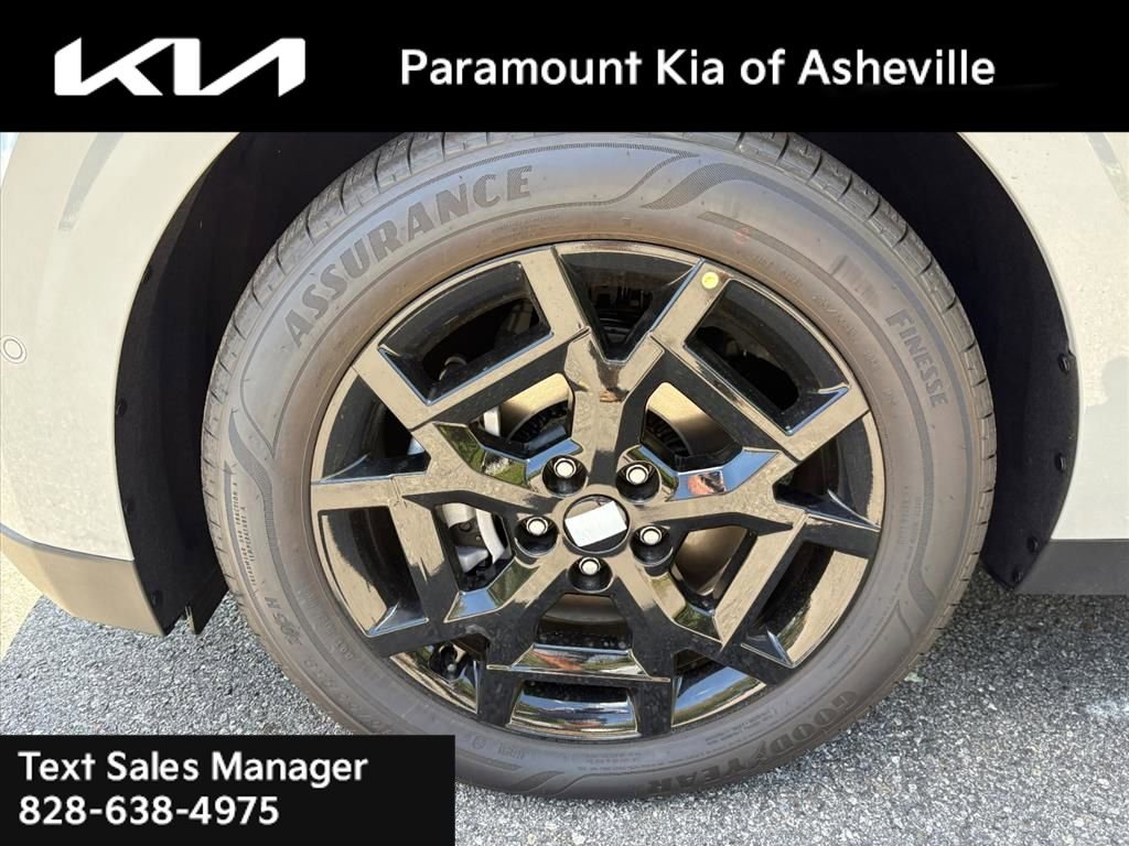 New 2026 Kia Carnival SX Prestige image 30