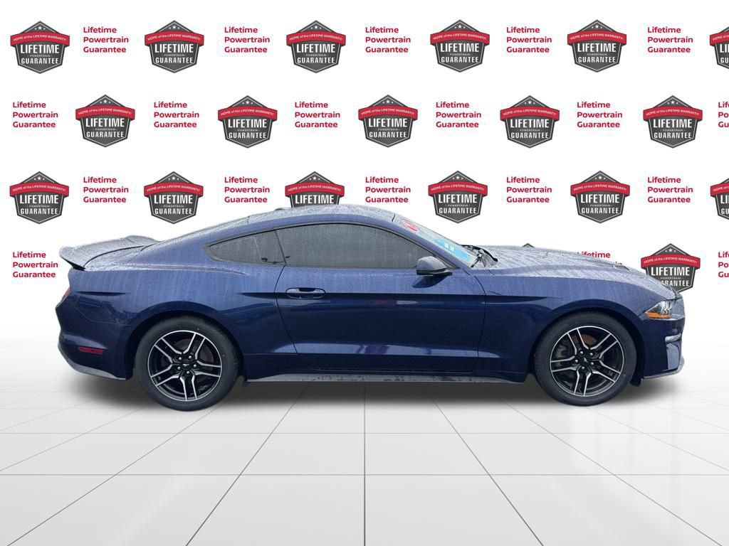 Used 2019 Ford Mustang Premium image 4