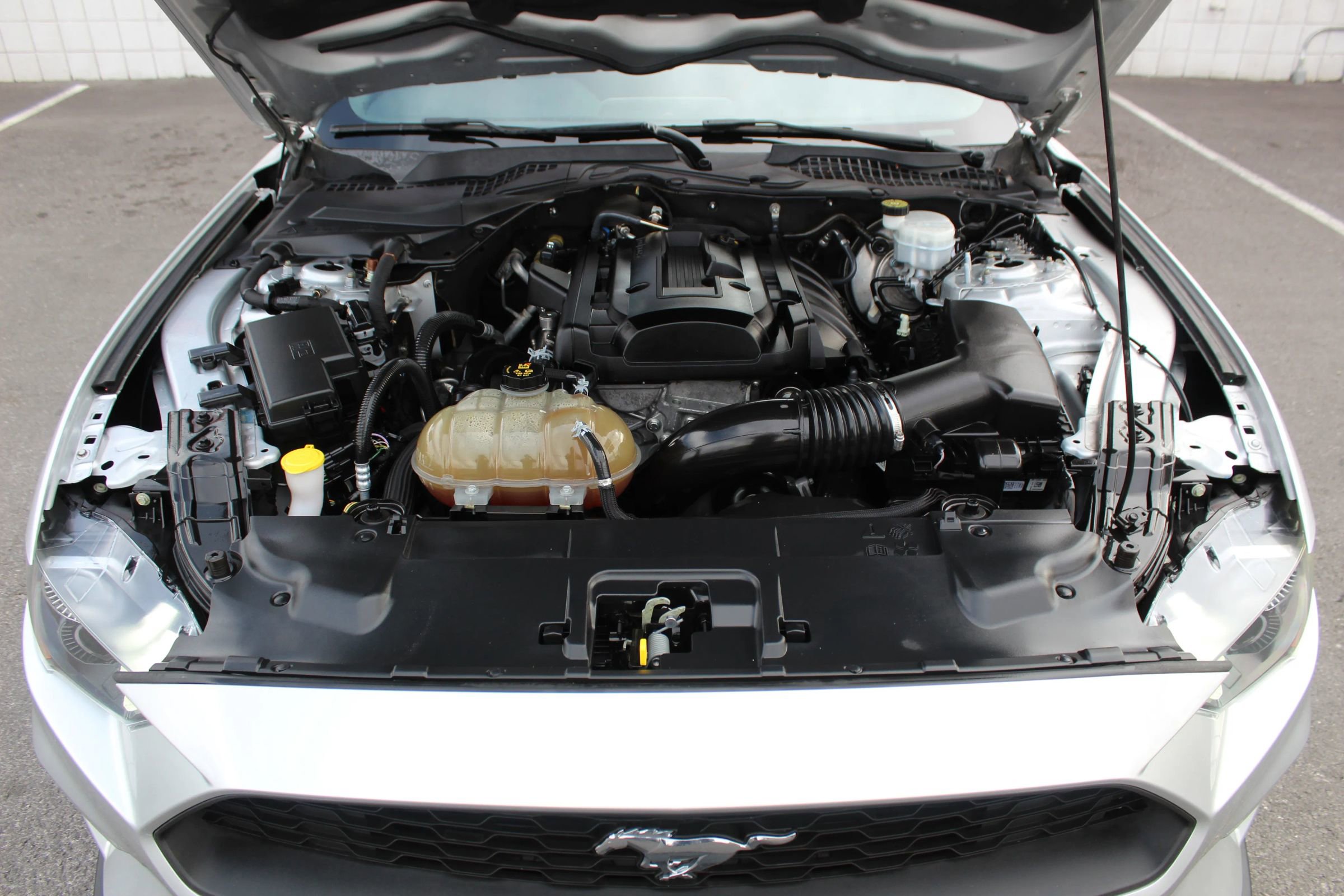 Used 2019 Ford Mustang Coupe w/ Equipment Group 101A RWD image 9