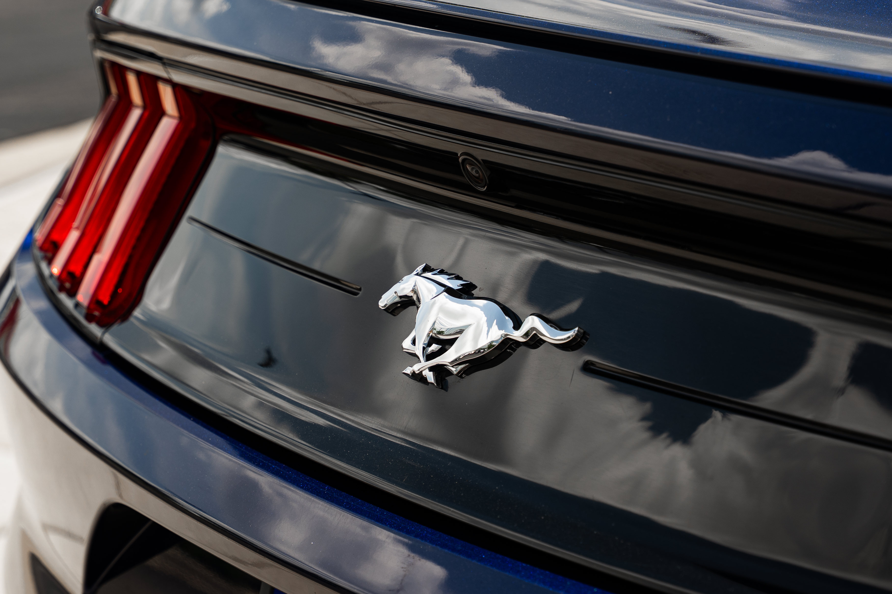 Used 2018 Ford Mustang Coupe w/ Equipment Group 101A RWD image 30