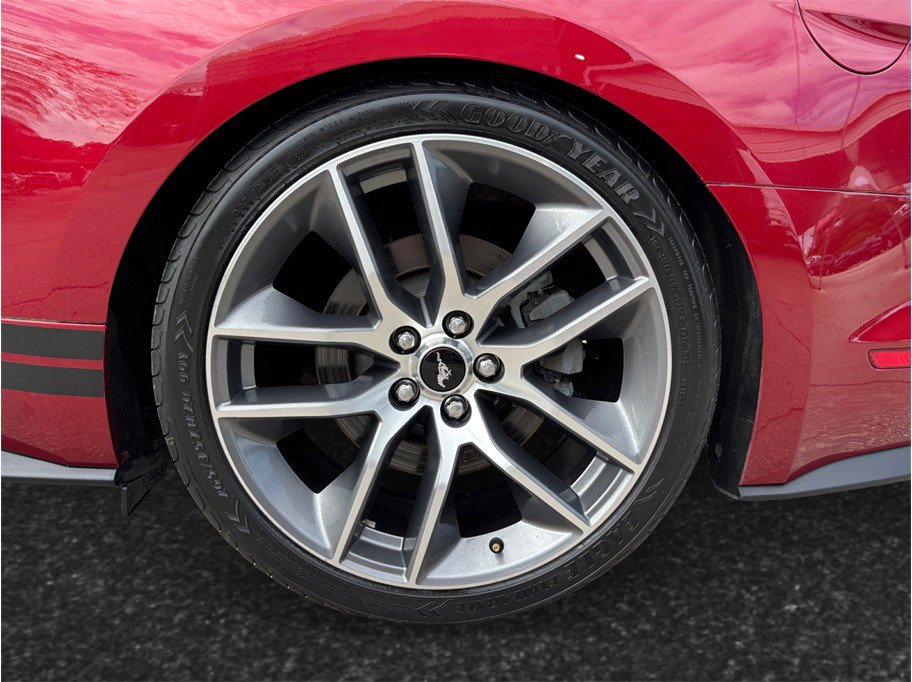 Used 2016 Ford Mustang GT Premium w/ Enhanced Security Package RWD image 13