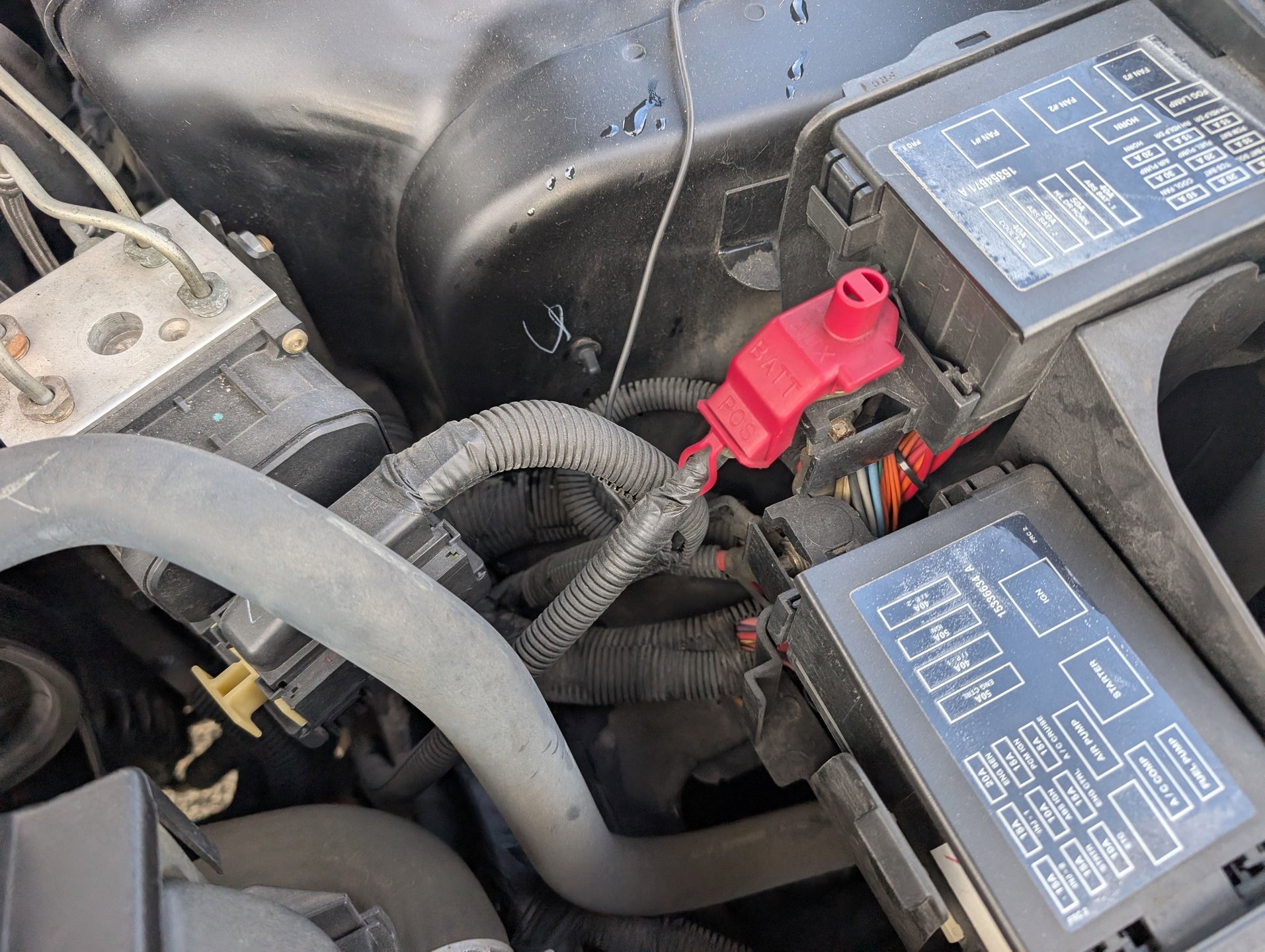 Used 2001 Chevrolet Camaro Z28 w/ SS Performance/Appearance Pkg image 99