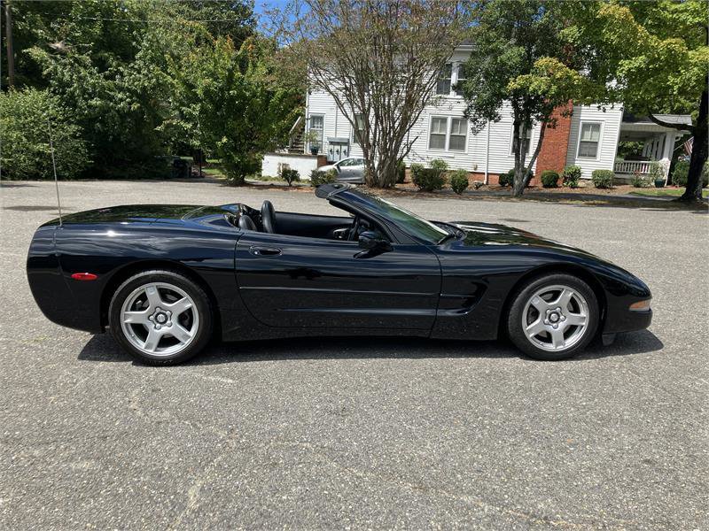 Used 1998 Chevrolet Corvette Convertible image 6