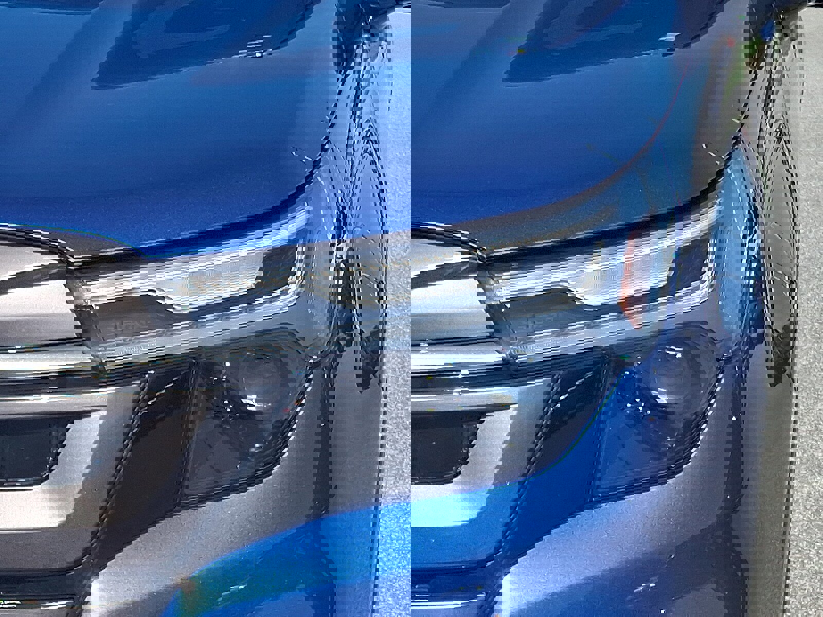 Certified 2026 Subaru Forester Limited image 9