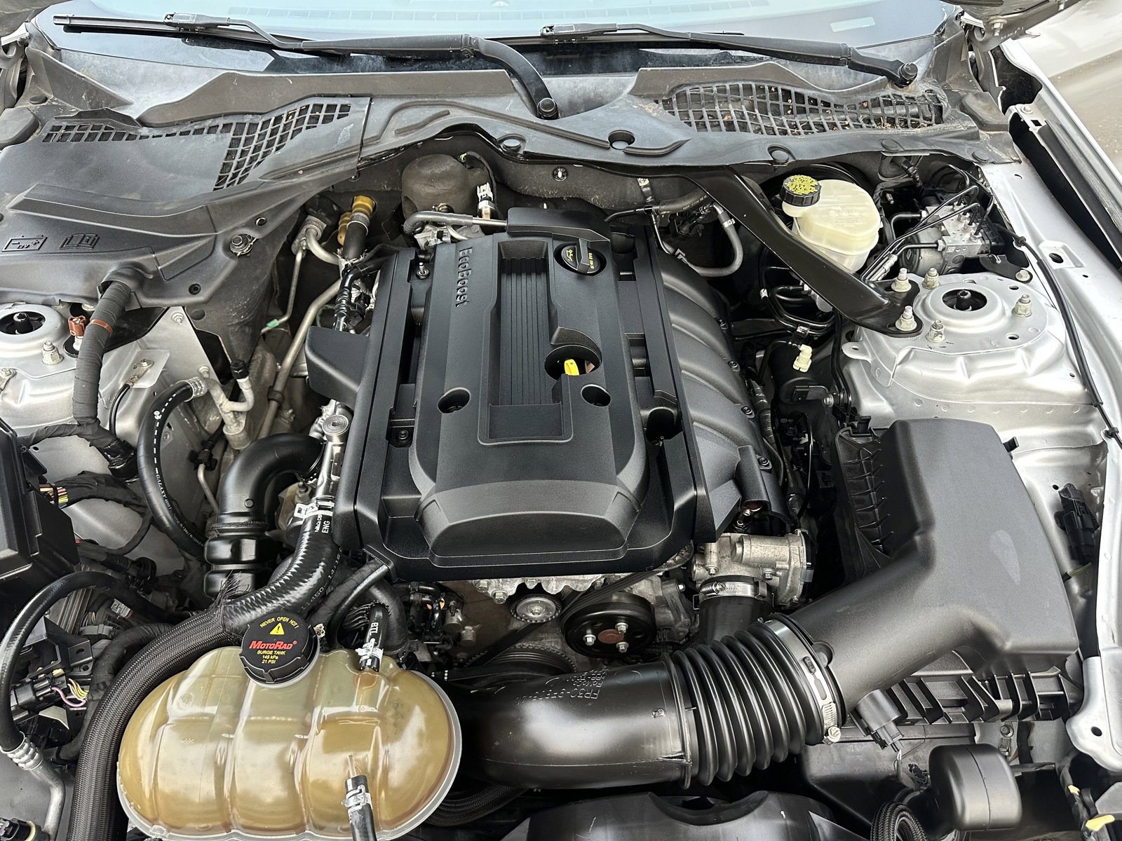 Used 2015 Ford Mustang Premium w/ Ecoboost Performance Package image 19