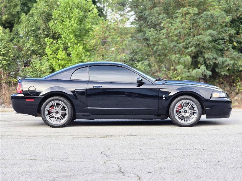 Used 2003 Ford Mustang Cobra RWD image 14