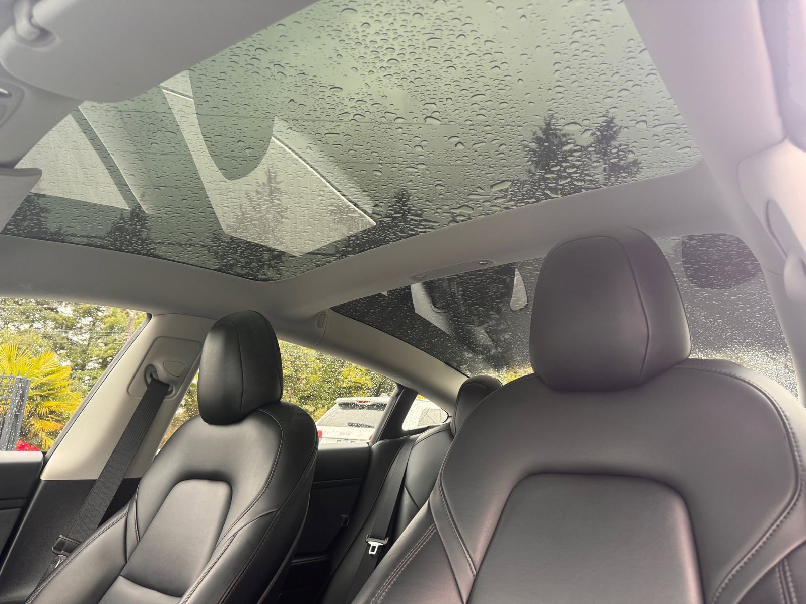 Used 2020 Tesla Model 3 Standard Range Plus RWD image 14