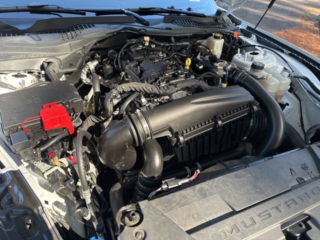 Used 2024 Ford Mustang Premium image 19