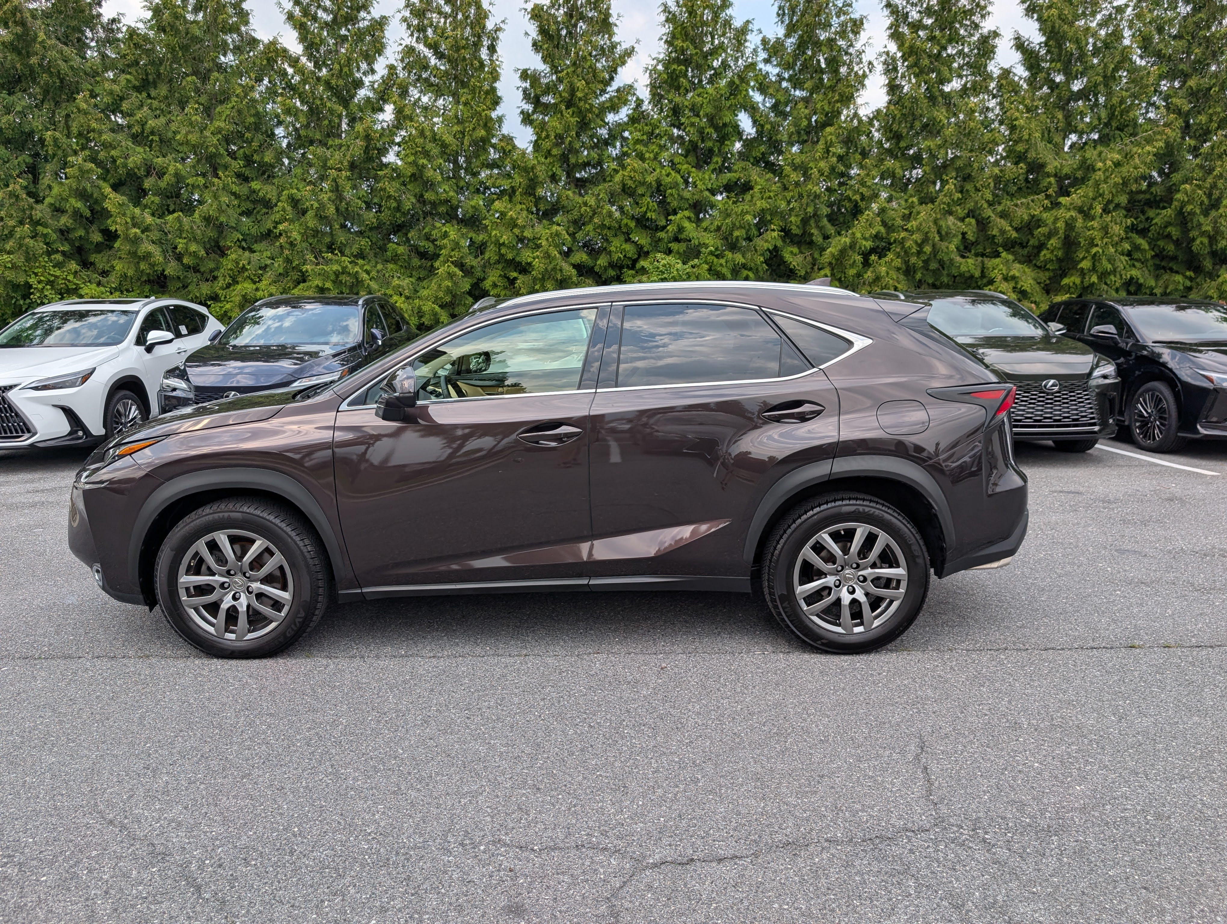Used 2015 Lexus NX 200t AWD w/ Premium Package image 6